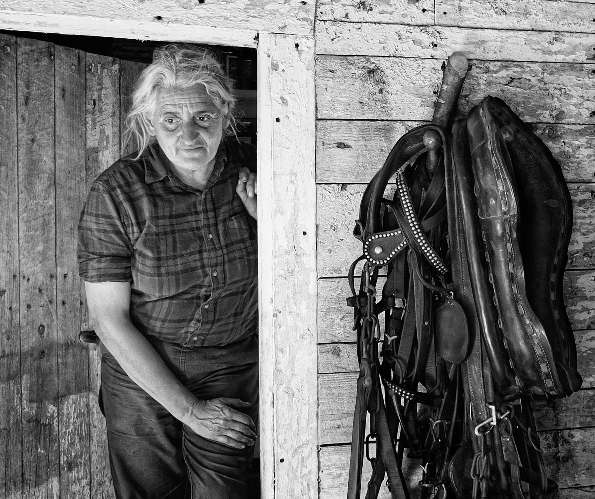 Portrait, Farm life, woman farmer, workhorses, harness, horse barn, rural living, working the land, simple life, traditional, VT