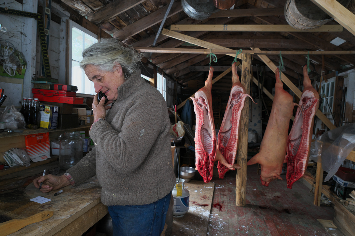 Environmental portrait, winter, Farm life, rural living, living off the land, farm outbuilding, barn, shed, pigs, carcass, butchering, meat production, pork, chemical-free, hormone-free, natural, wholesome, traditional, VT