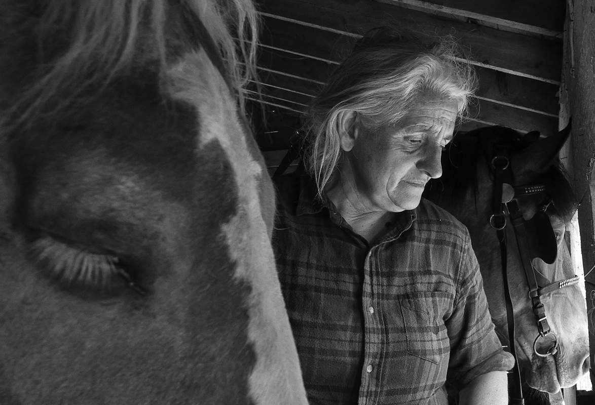Portrait, Woman farmer, horses, team, horse barn scene, VT