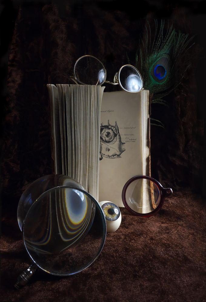 Still life, wire spectacles, magnifying glass, lenses, fake eye, glass eye, peacock feather, anatomy book