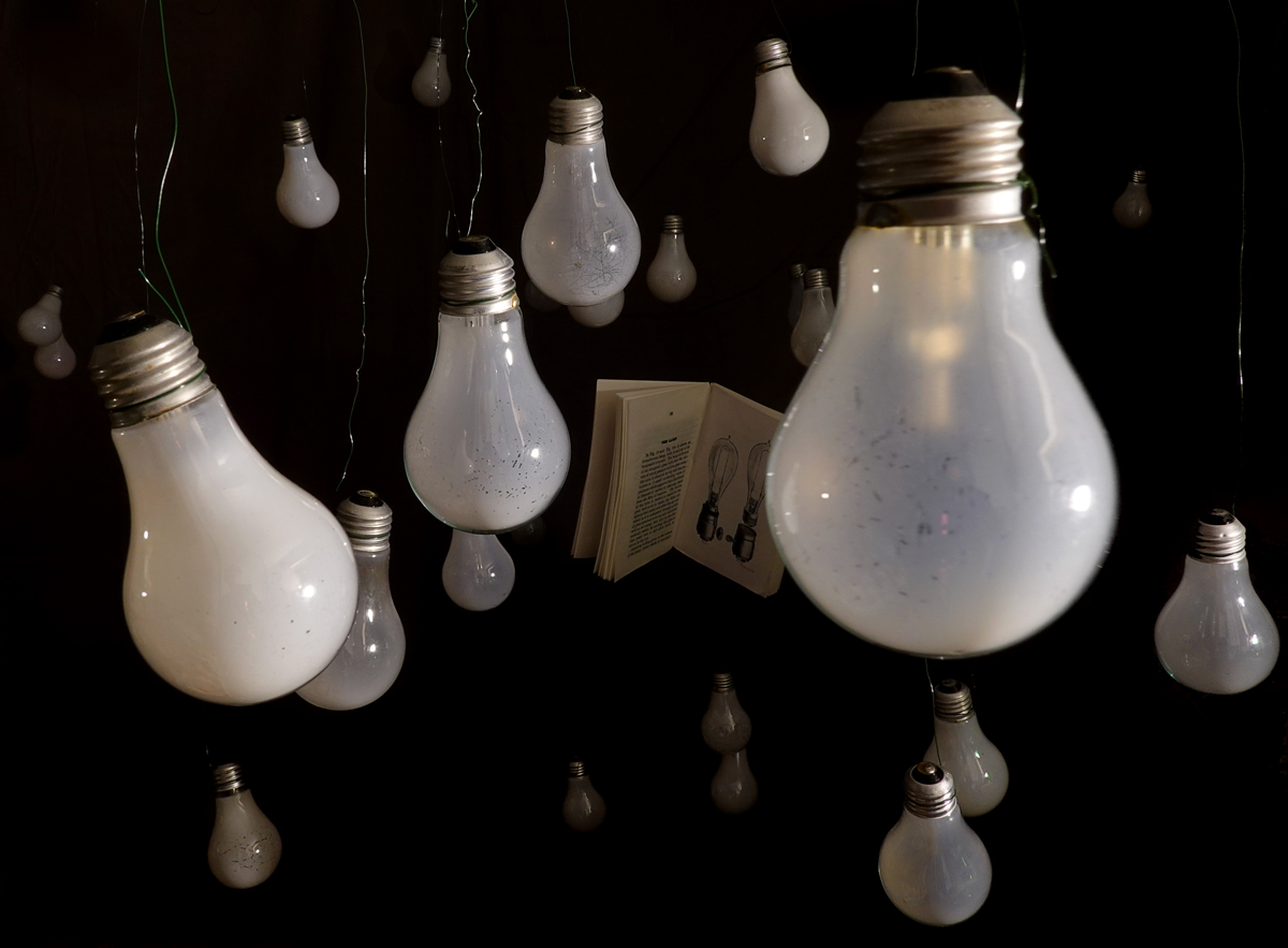 Still life, book on Edison, lamp bulbs, history of electric lighting